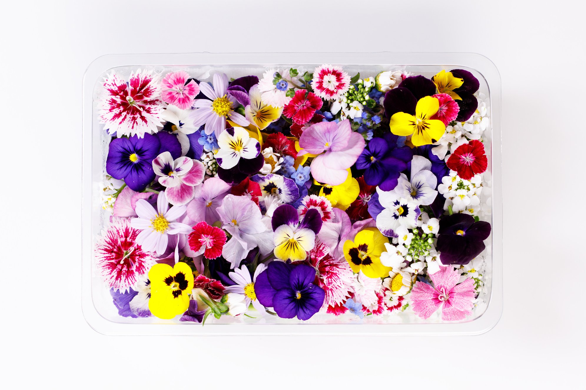 Colorful edible Flowers